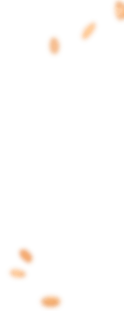 promo-banner-image