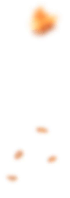promo-banner-image